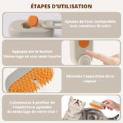 Brosse PurrSteam™ | Achetez-en 1, recevez-en 2