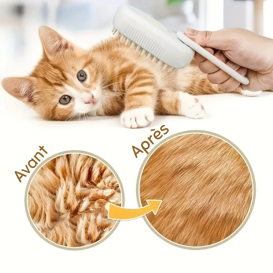 Brosse PurrSteam™ | Achetez-en 1, recevez-en 2