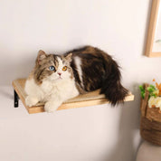 Árbol para gatos mural | ClimbHaven™