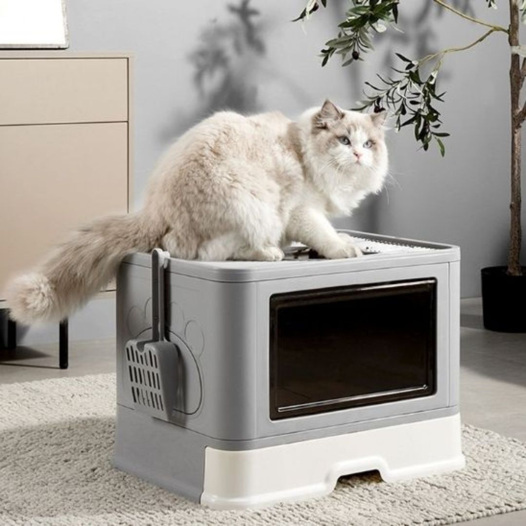 bac-a-litiere-chat-gris.jpg