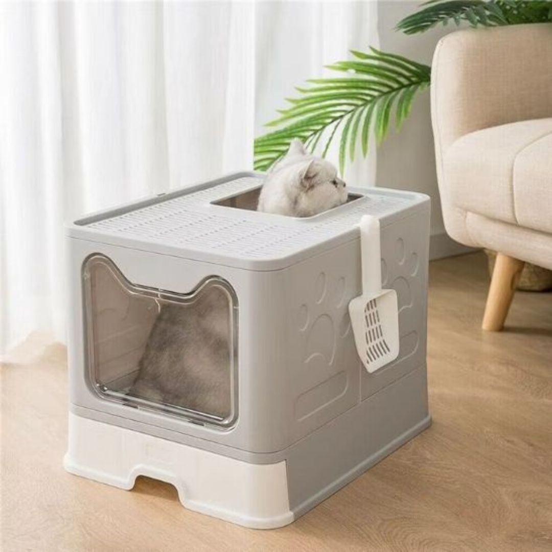 bac-a-litiere-chat-proprete.jpg