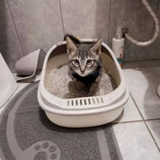 Bac à litière chat | LitterCove™