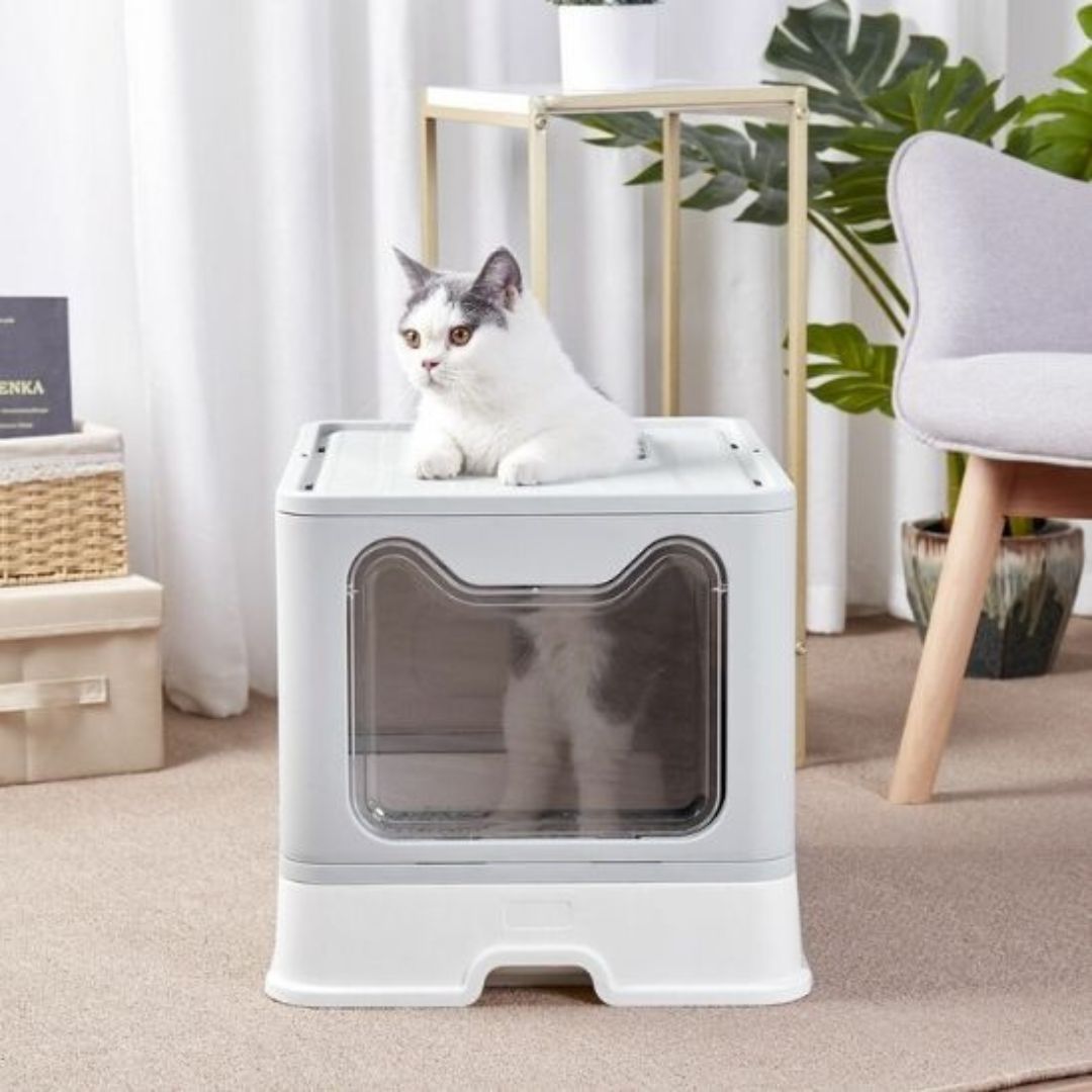 bac-a-litiere-chat.sortiejpg.jpg