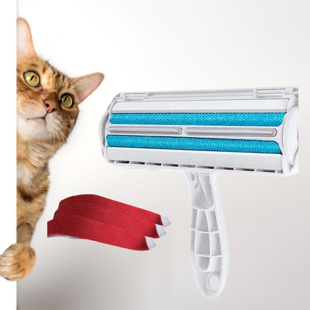 brosse-anti-poil-bleu.jpg