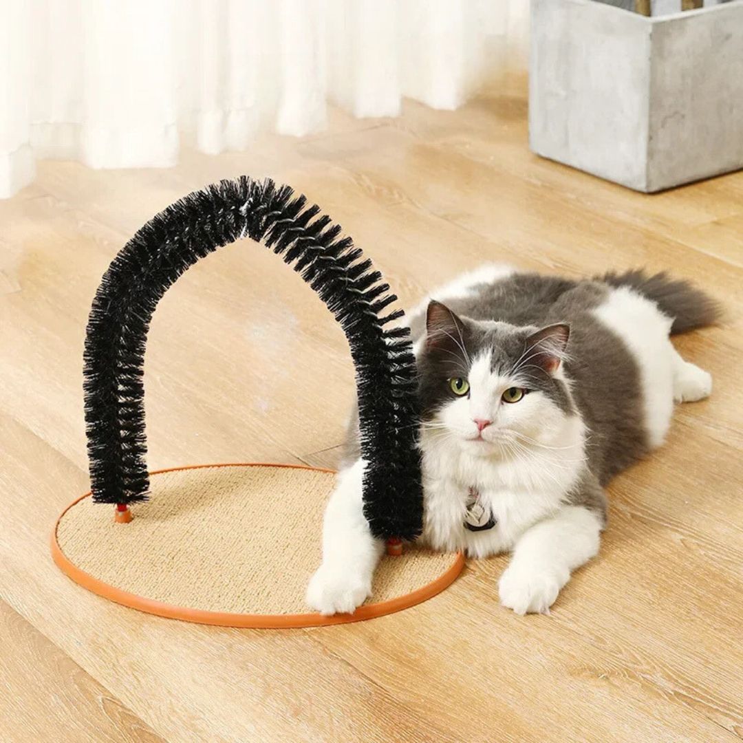 Cepillo para gato | GroomParadise™