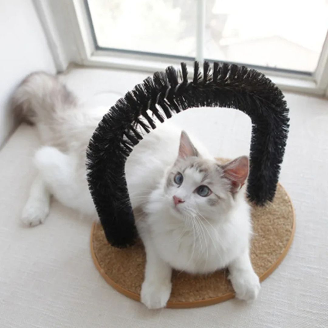 brosse-chat-confort.jpg