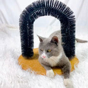 Cepillo para gato | GroomParadise™