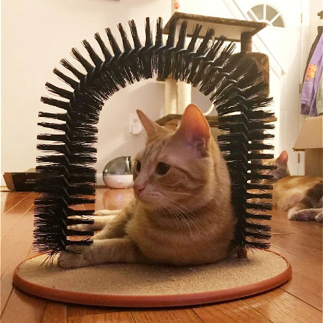 Cepillo para gato | GroomParadise™