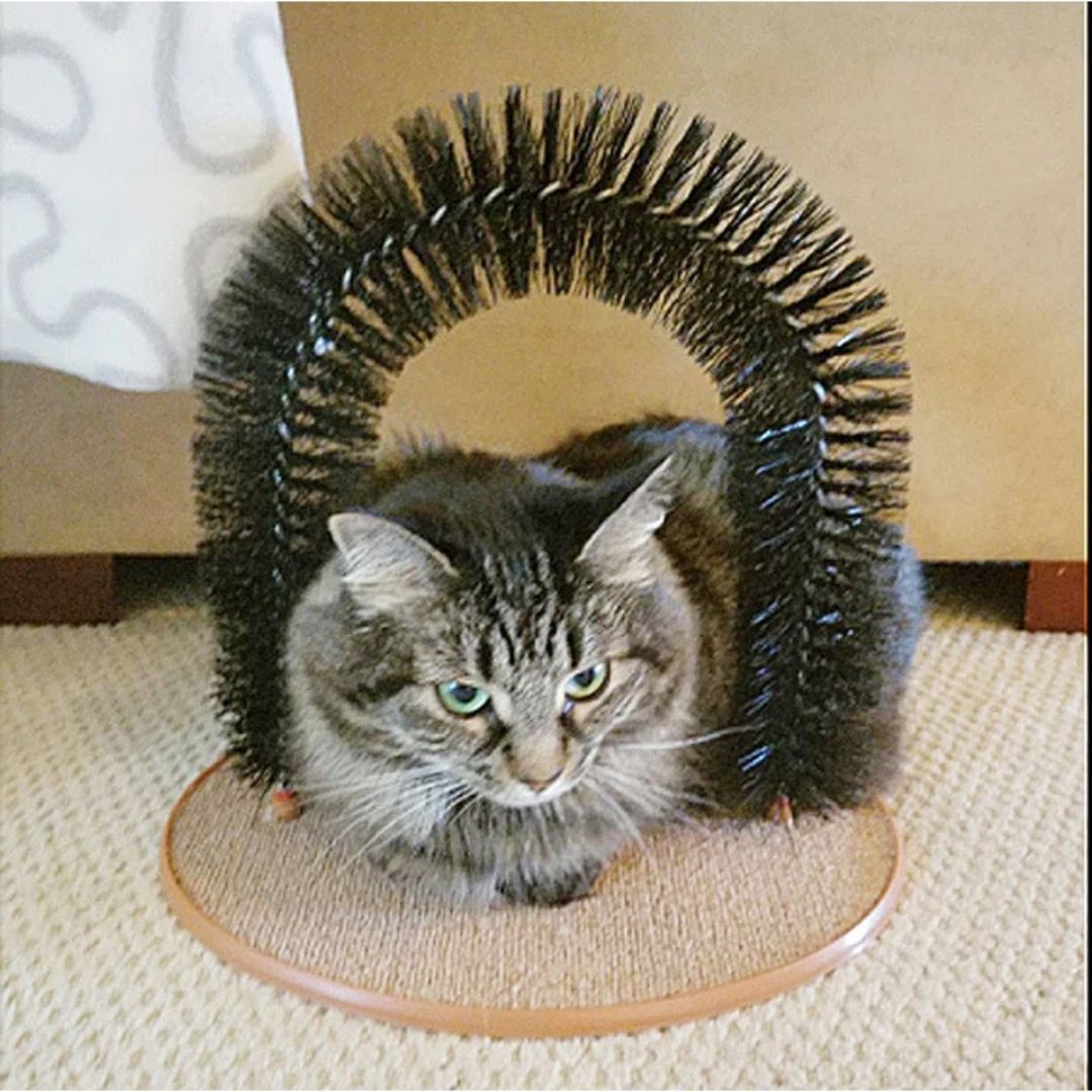 Cepillo para gato | GroomParadise™