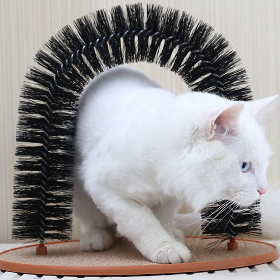 Cepillo para gato | GroomParadise™