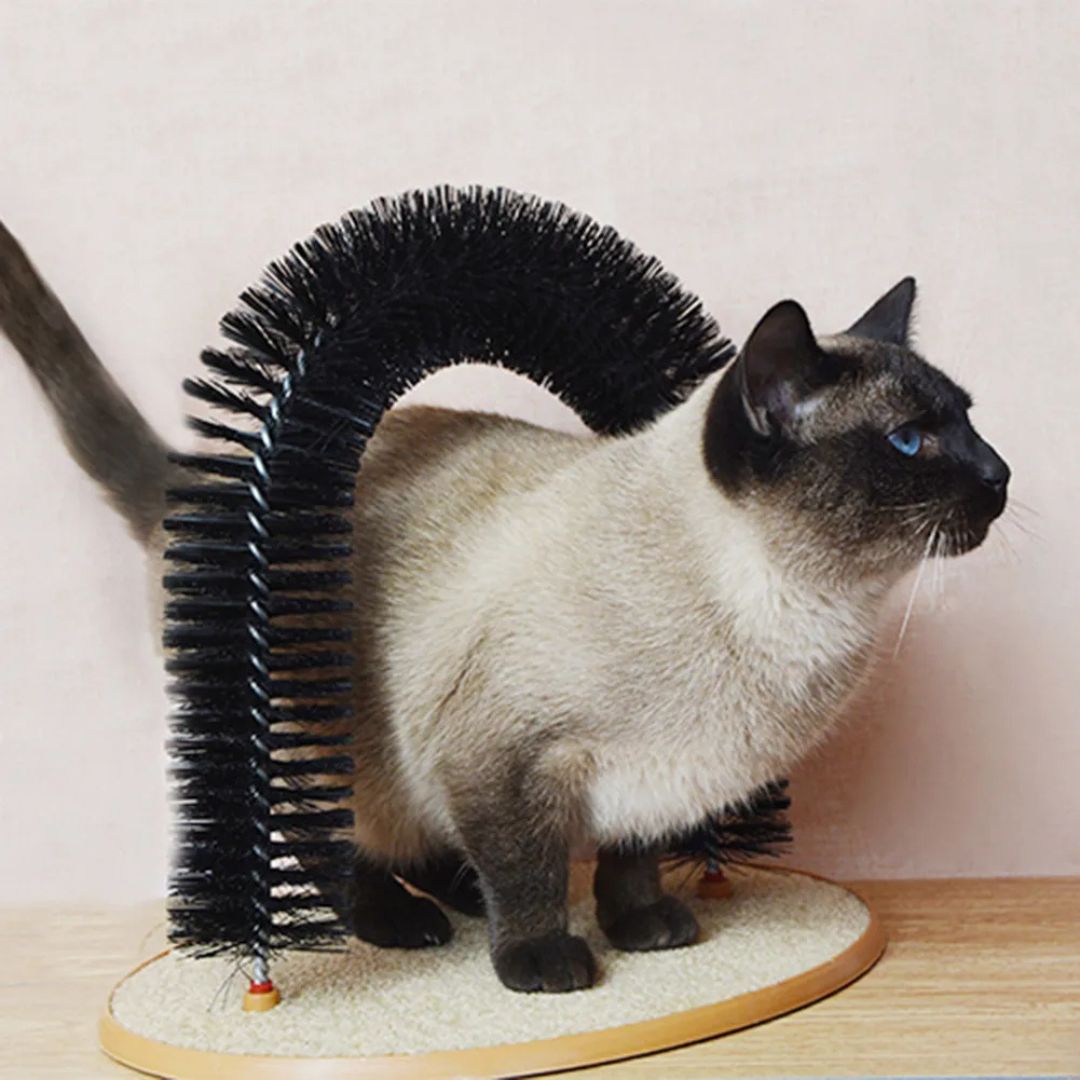 Cepillo para gato | GroomParadise™