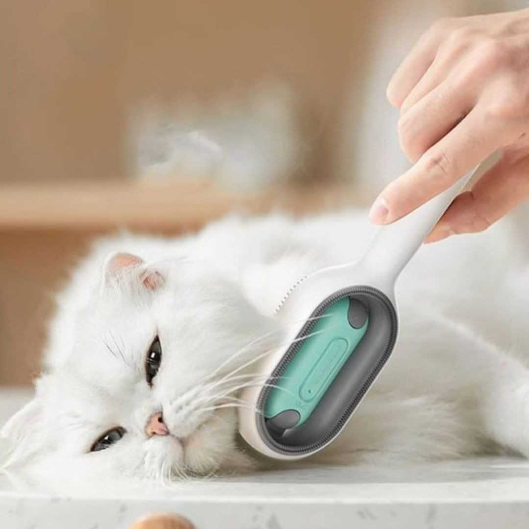 brosse-pour-chat-bleu_807dd447-8442-4ce8-8897-7dd782500dc5.jpg