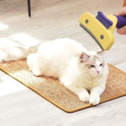 Cepillo para gato | PurrfectBrush™