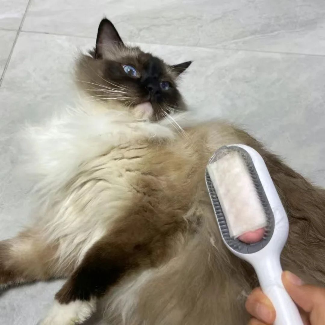 Cepillo para gato | Furrfresh™