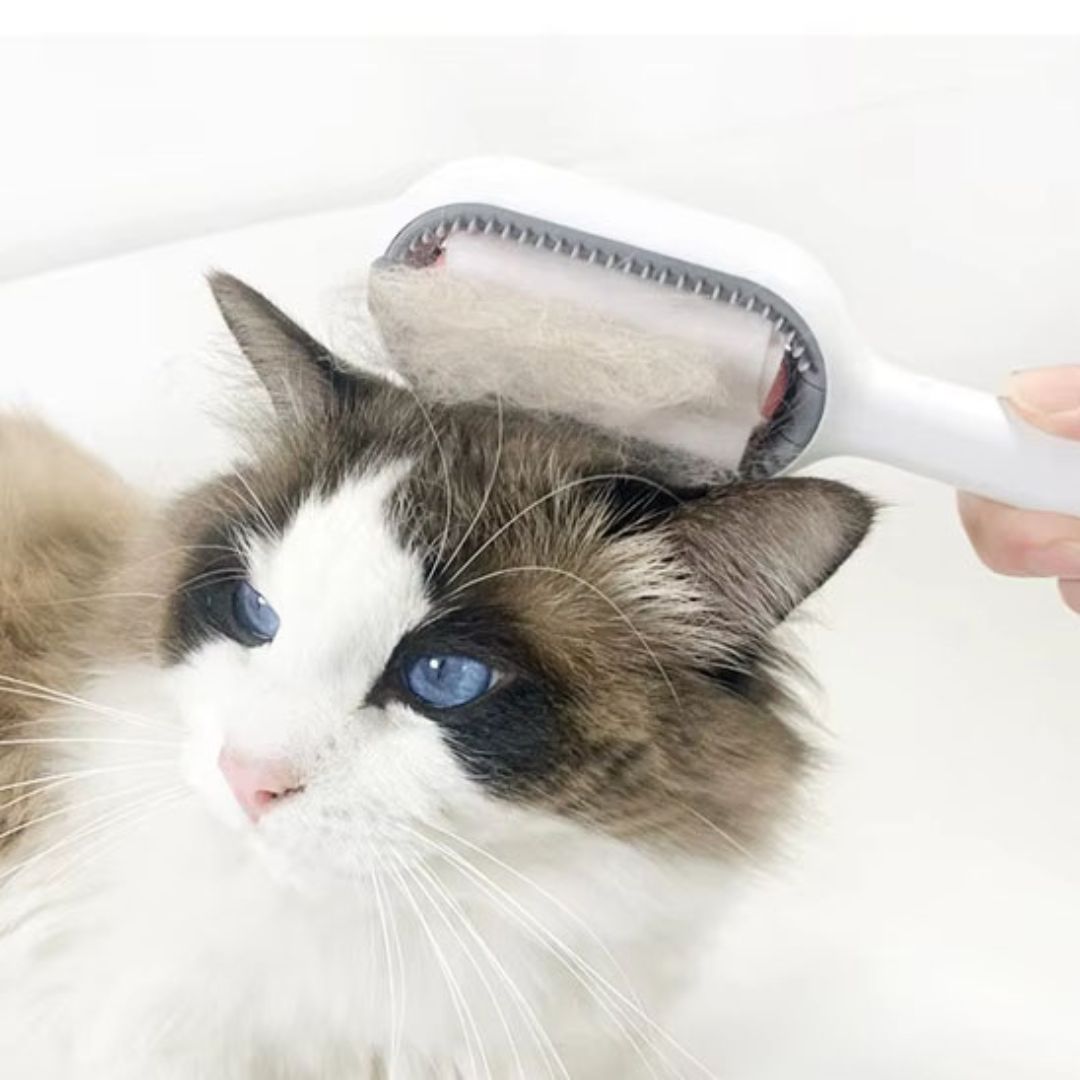 Cepillo para gato | Furrfresh™