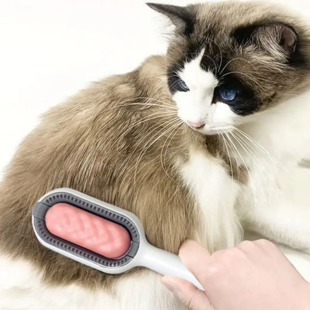 brosse-pour-chat-lisse.jpg