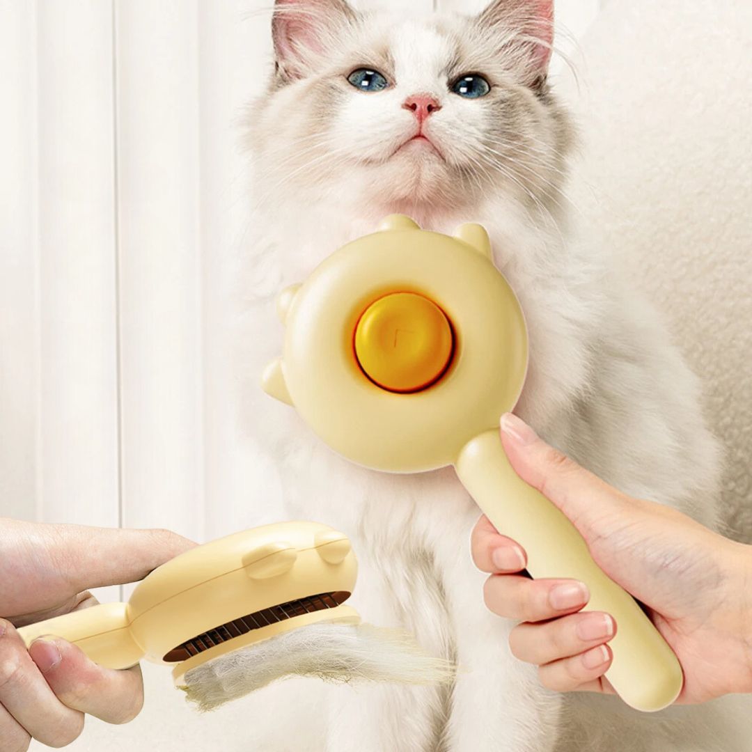 brosse-pour-chat-praticite.jpg