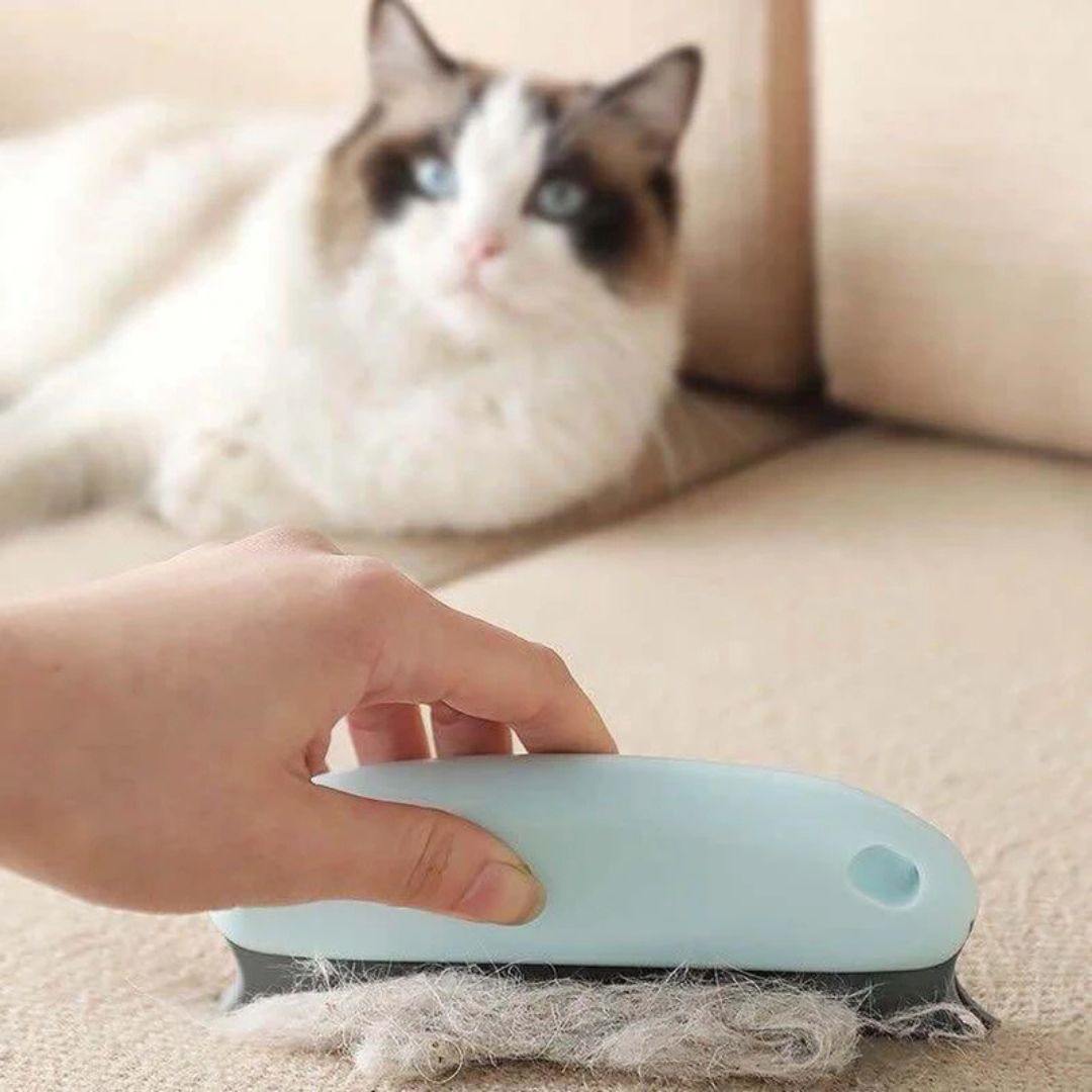 brosse-pour-chat-praticite_d1bab502-9f76-4f0b-96f5-ea8afe667120.jpg
