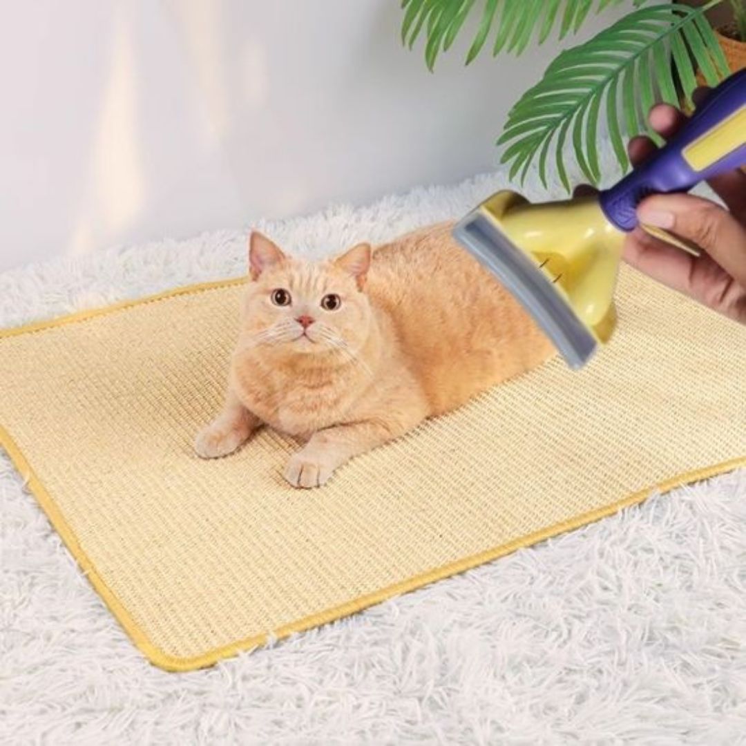 Cepillo para gato | PurrfectBrush™