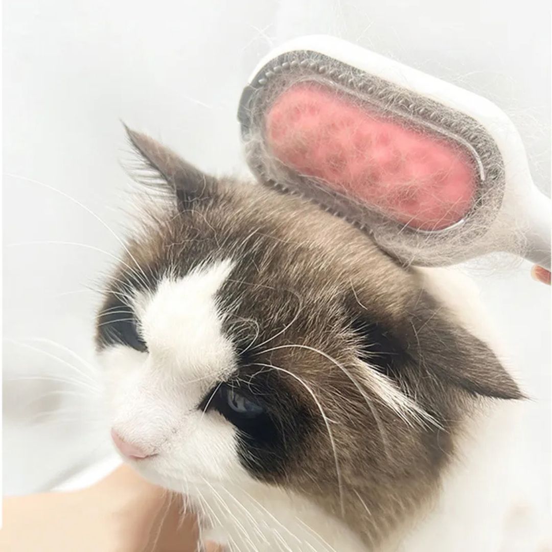 Cepillo para gato | Furrfresh™