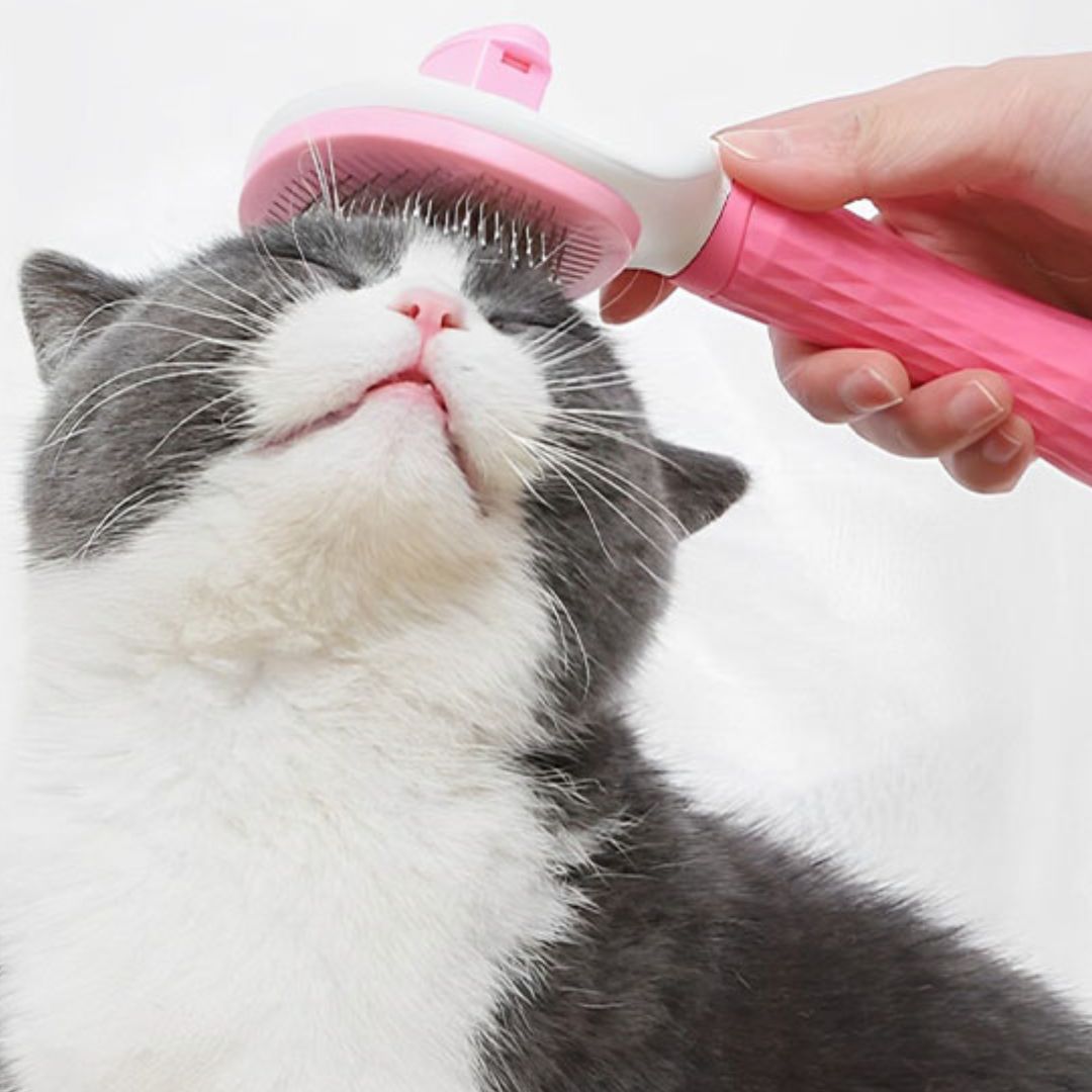 Cepillo para gato | CosyBrush™