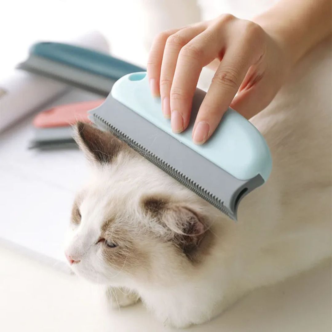 brosse-pour-chat-tete_9d49f5a1-389e-4cf7-a419-dc54e571cd92.jpg