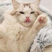 Cesta para gato | PlushKittybed™