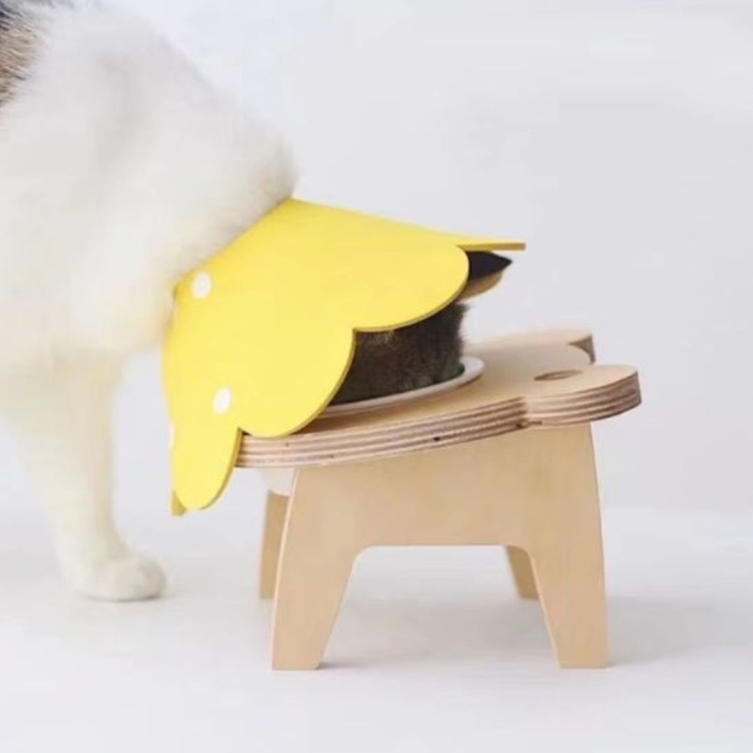 collerette-chat-gamelle.jpg