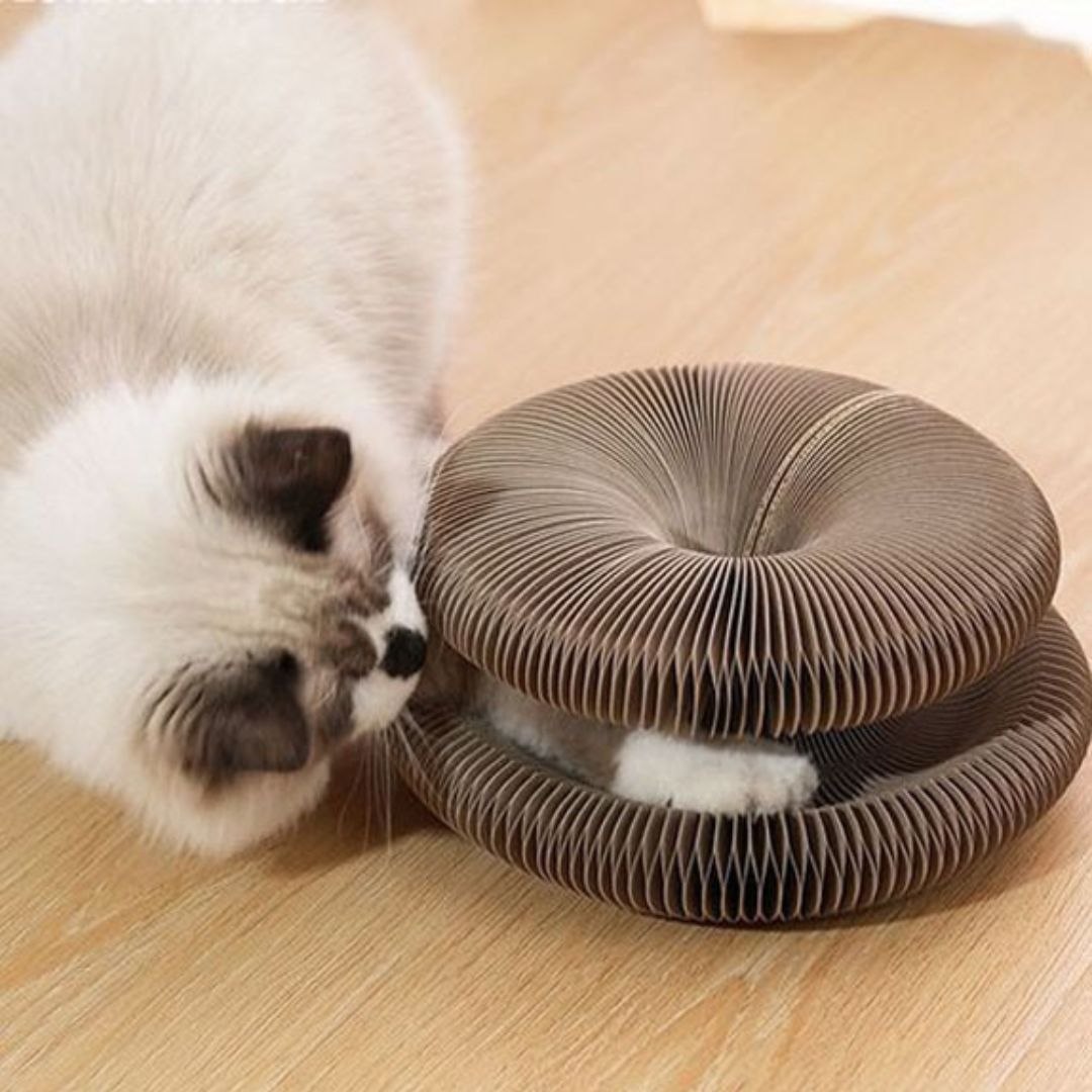 Rascador para gato | FunnyGriff™