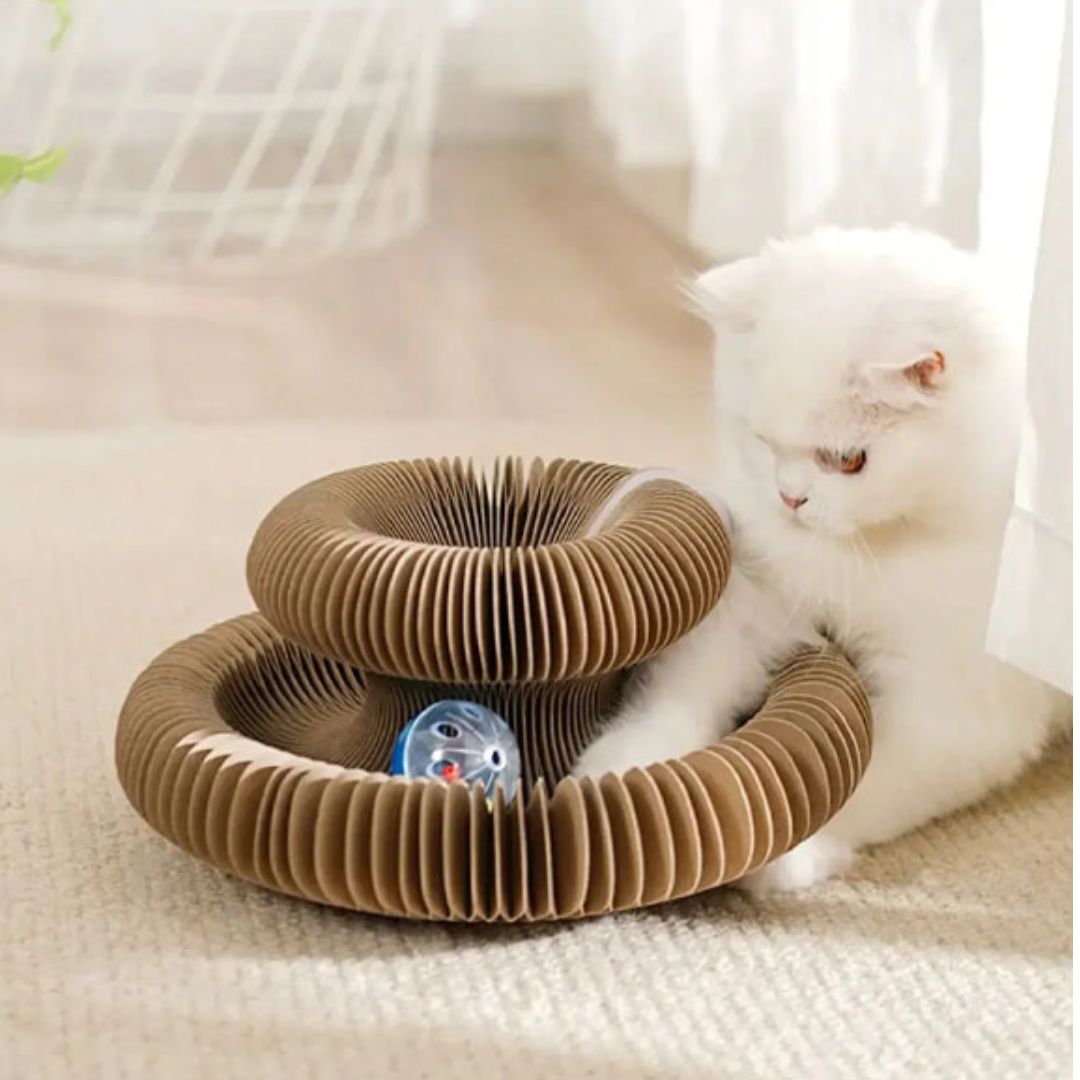 Rascador para gato | FunnyGriff™