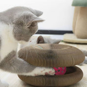 Rascador para gato | FunnyGriff™