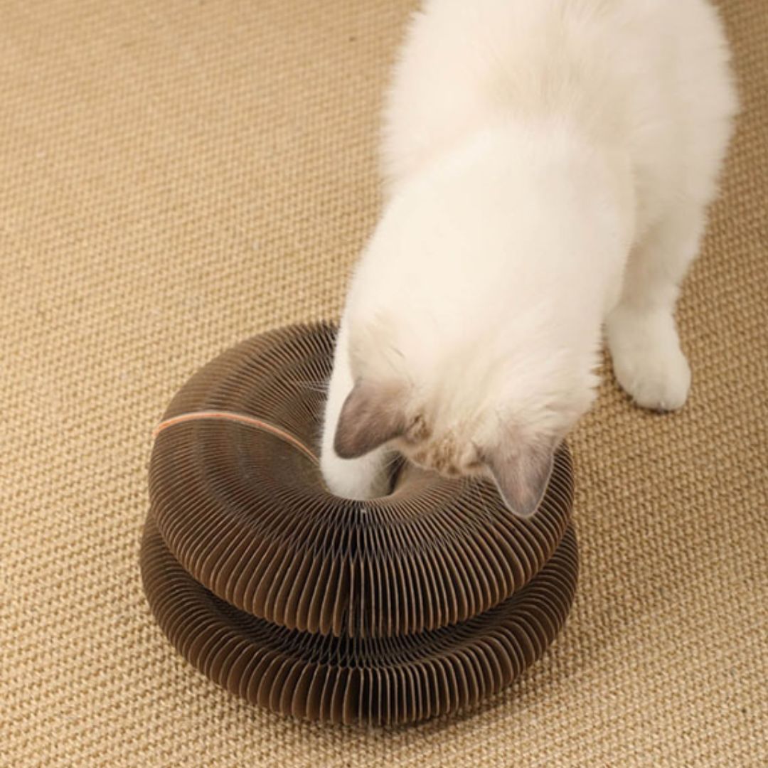 Rascador para gato | FunnyGriff™