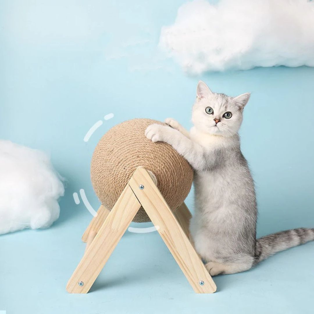 Rascador para gato | TourniGriff™