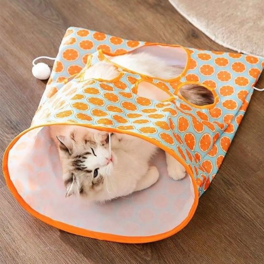 jeu-pour-chat-jouer.jpg