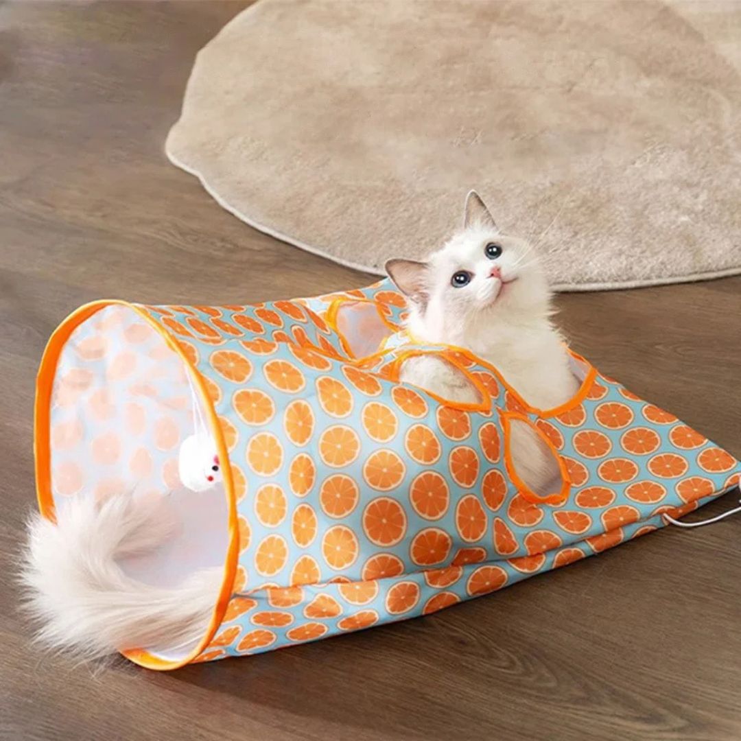 jeu-pour-chat-sac.jpg