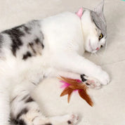 Juguete para gato | ColiPlume™