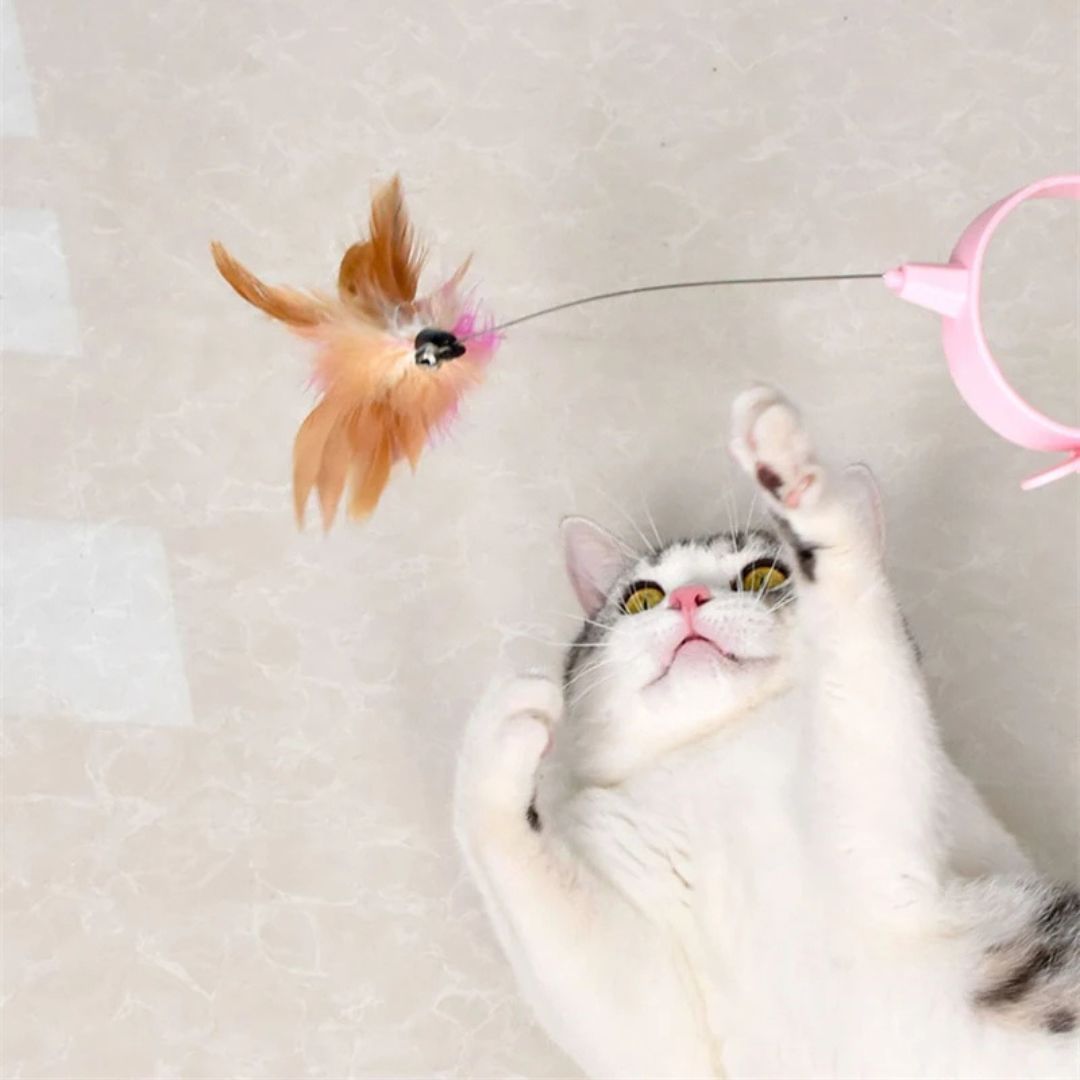 Juguete para gato | ColiPlume™