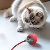 Juguete interactivo para gato | XtremePaw™