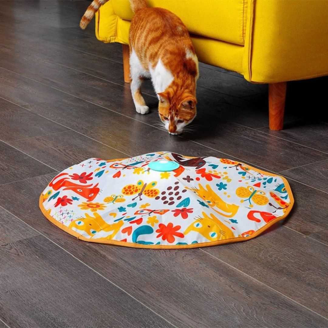 Juguete para gato | CrazyPlume™