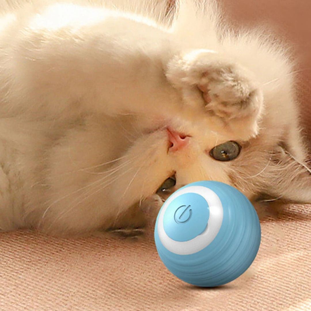 Juguete interactivo para gato | PurrSprint™