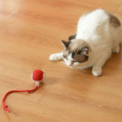 Juguete interactivo para gato | XtremePaw™