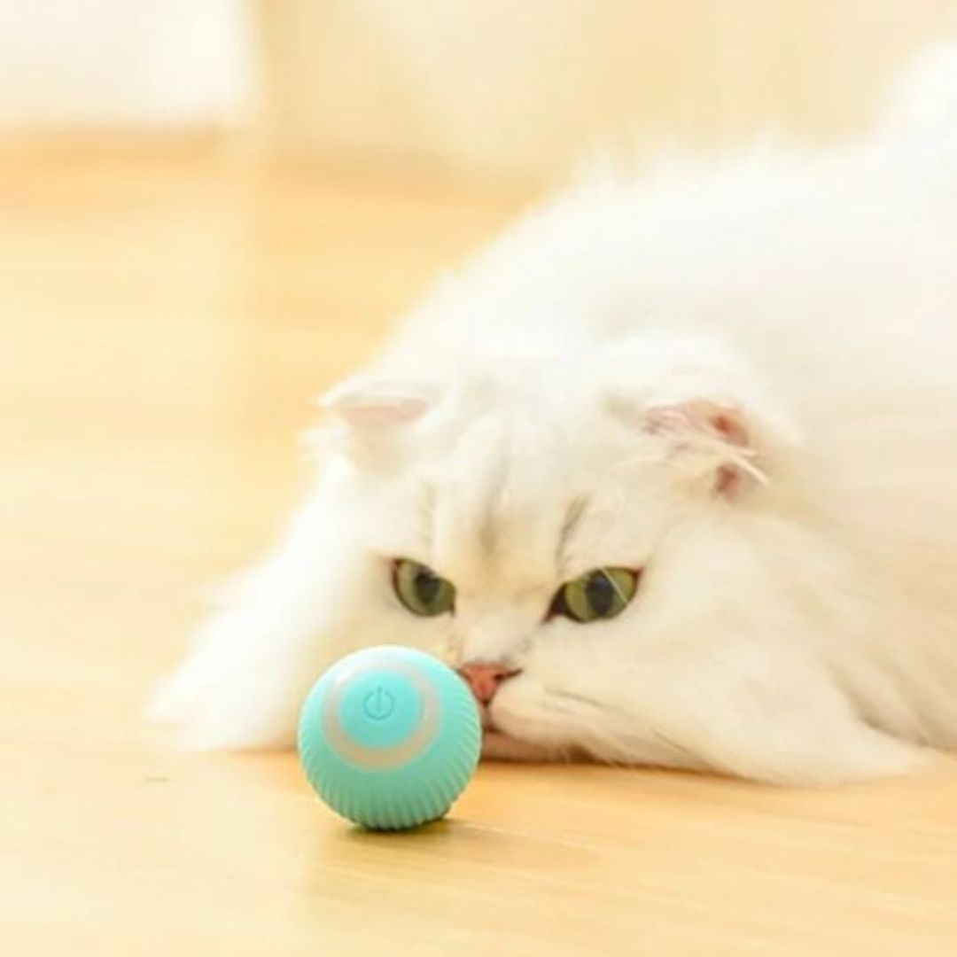 Juguete interactivo para gato | PurrSprint™
