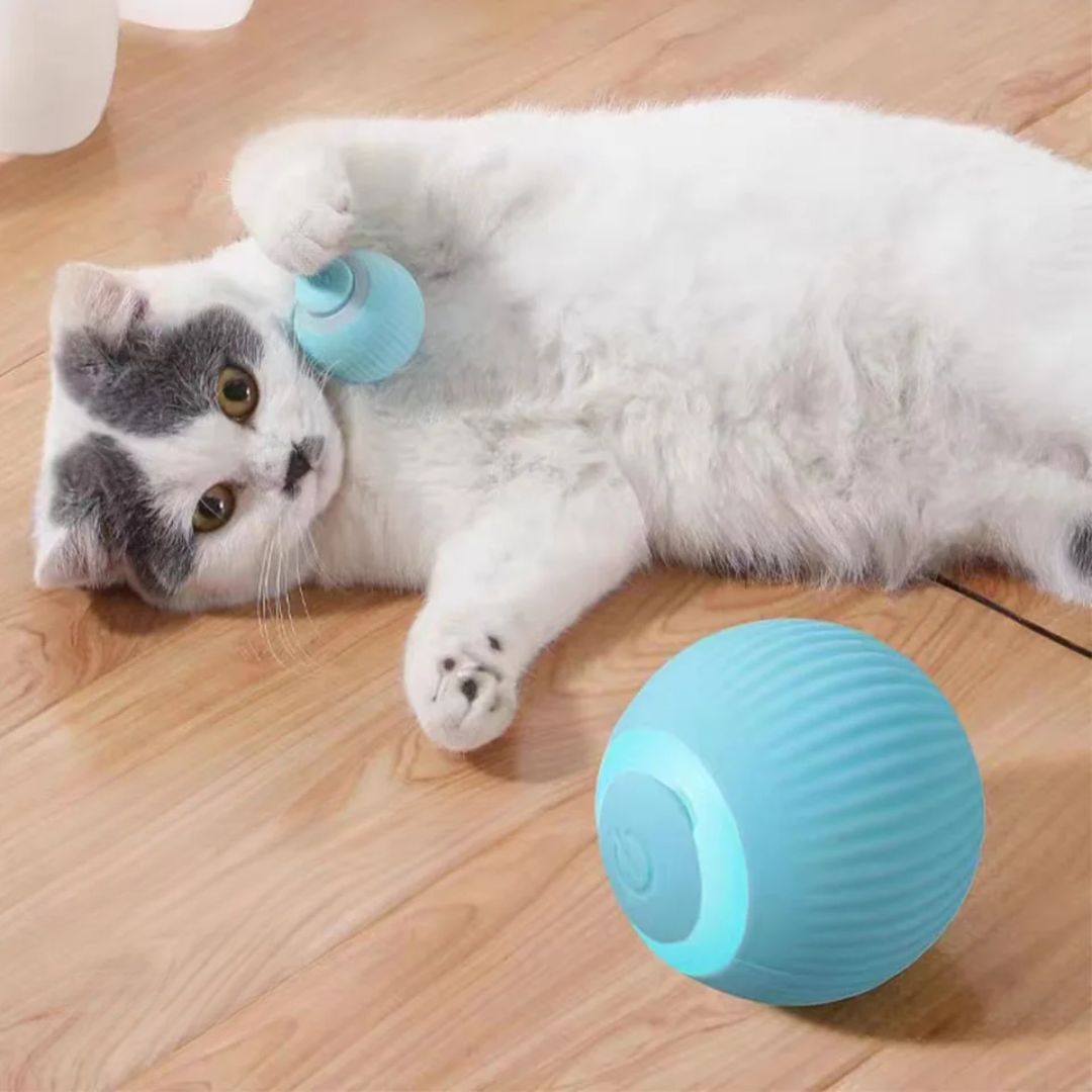 Juguete interactivo para gato | PurrSprint™
