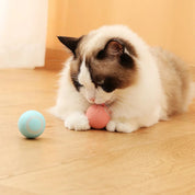 Juguete interactivo para gato | PurrSprint™