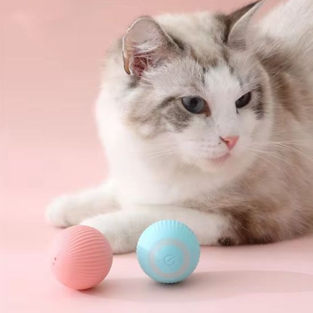 Juguete interactivo para gato | PurrSprint™