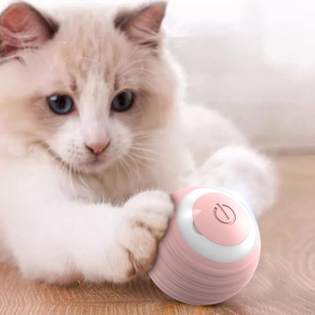 Juguete interactivo para gato | PurrSprint™