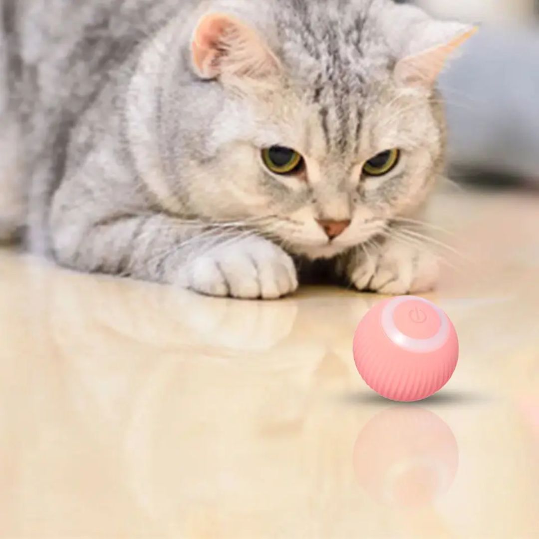 Juguete interactivo para gato | PurrSprint™