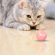 Juguete interactivo para gato | PurrSprint™