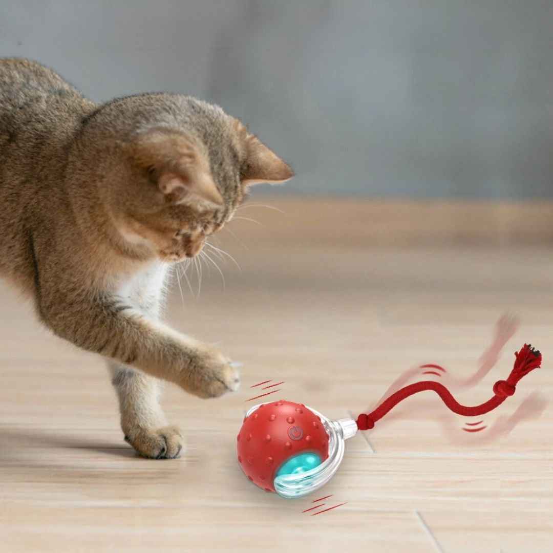 Juguete interactivo para gato | XtremePaw™