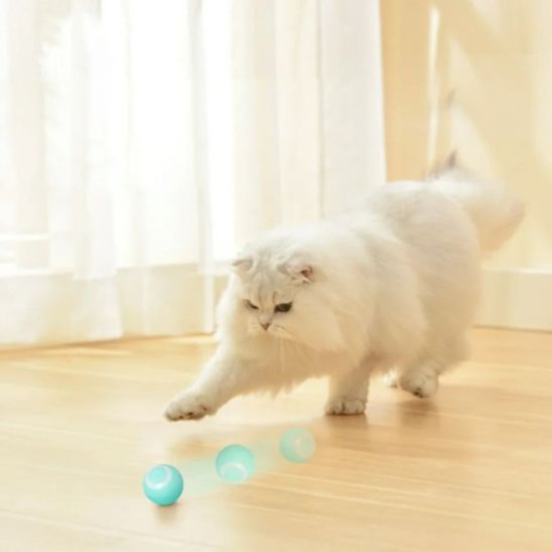 Juguete interactivo para gato | PurrSprint™